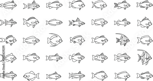 Collection of various fish illustrations in different swimming positions