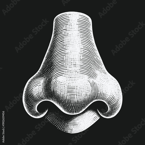 Detailed Engraving of a Human Nose on a Dark Background.
