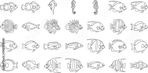 Diverse collection of fish and sea creatures in black and white line art