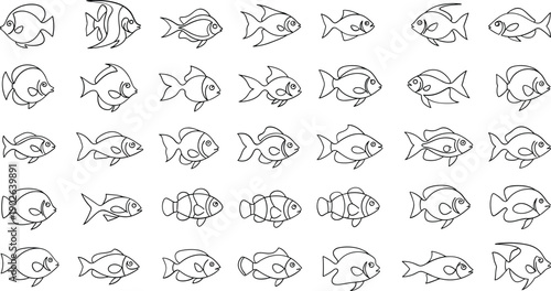 Collection of various fish line drawings on white background