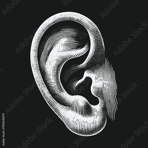 Detailed Engraving of a Human Ear on Black Background.