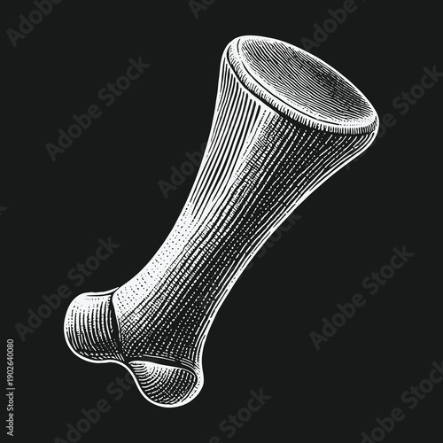 Detailed Bone Illustration: Anatomical Study in Black and White.