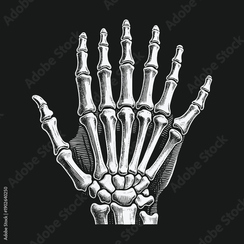 Anatomical Hand Skeleton Illustration on Dark Background.