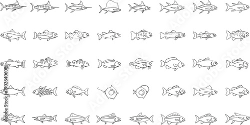 Diverse fish illustrations for commercial use