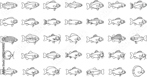 Diverse fish illustrations in various styles and poses