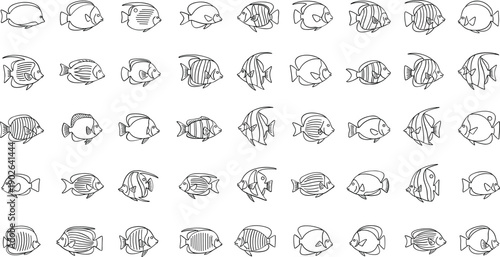 Variety of fish swimming in different directions