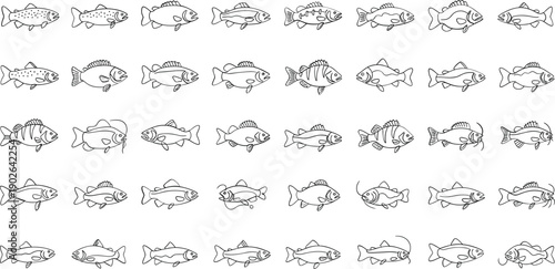 Variety of fish swimming in different directions