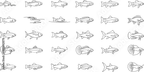 Variety of fish swimming in different directions