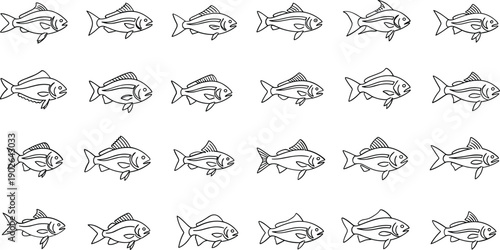 Multiple fish swimming in different directions in black and white