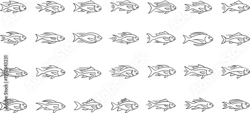 Variety of fish swimming in different directions