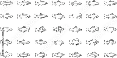 Variety of fish swimming in different directions