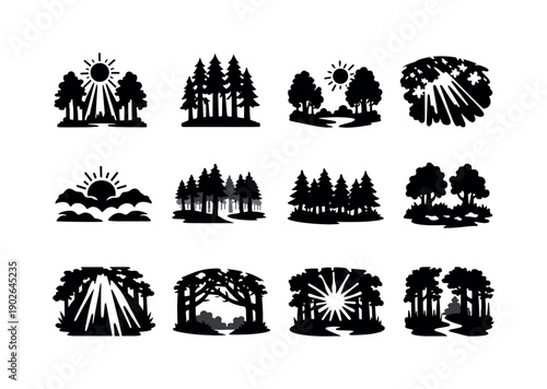 Sunlight in forest. Solid icon set of sunlight in forest: sun rays, tall trees, forest clearing, light through leaves, morning sun, fog