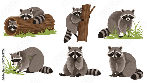 Six adorable raccoons in various activities like climbing a tree, hiding in a log, and sitting in the grass on white background.