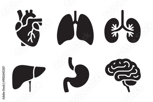Human Anatomy Icons