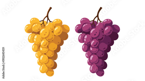 Two luscious bunches of grapes, one golden yellow and one deep purple, hanging from stems against a clean white background.