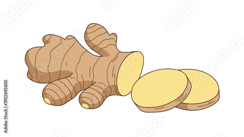 Fresh ginger root and two round slices isolated on a white background, representing healthy spice and cooking ingredients.