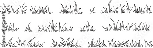 Grass doodle ink brush sketch set, hand drawn vector grass field texture, grunge brush background, organic herb elements, nature pattern, botanical sketch, doodle vegetation. grass, hand drawn set