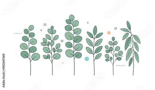 Serene Eucalyptus Design. Neutral eucalyptus branch collection. A tidy group of stems with varying heights and leaf patterns, all in soft muted greens and