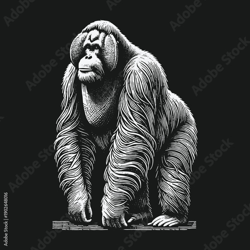 Detailed Orangutan Illustration: A Striking Black and White Portrait.
