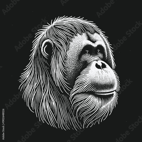 Detailed Orangutan Portrait in Striking Black and White Illustration.