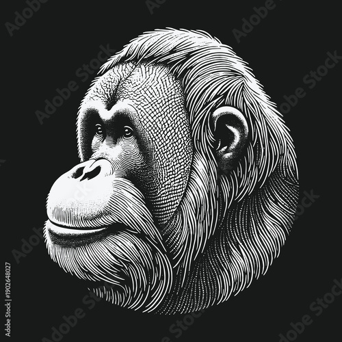 Detailed Orangutan Portrait: A Study in Line and Shadow.