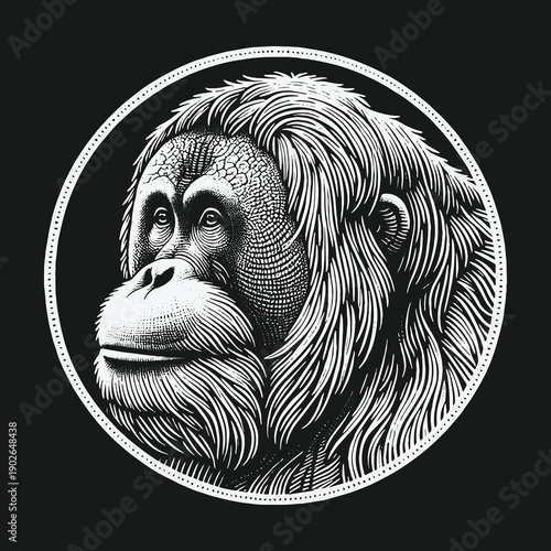 Detailed Orangutan Portrait in Engraving Style on Black Background.