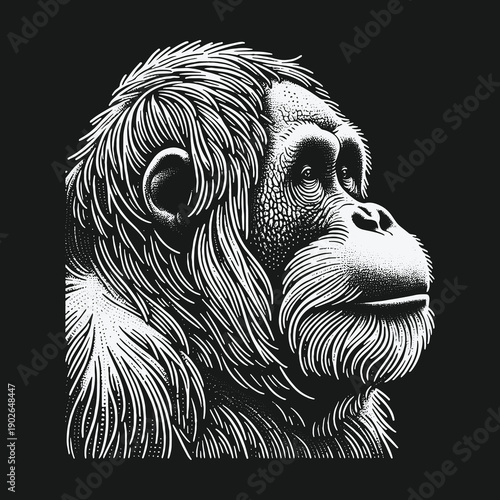 Orangutan Portrait: A Detailed Black and White Illustration.