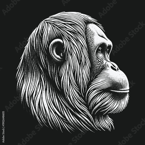 Detailed Orangutan Portrait: A Study in Line and Shadow.