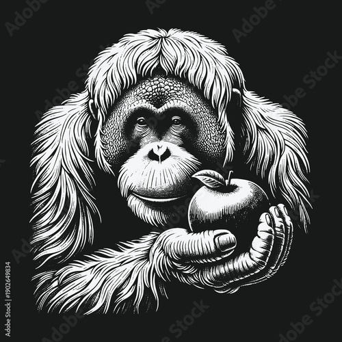 Orangutan with Apple: A Detailed Black and White Illustration.