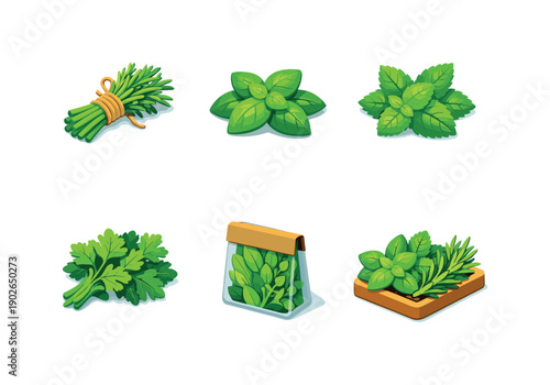 Organic herbs. Isometric flat vector icons set of organic herbs: eco herb bundle, fresh organic basil, natural mint leaves, farm grown