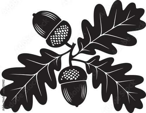 Black silhouette oak branch with acorns and leaves vector illustration for nature autumn and harvest graphic element