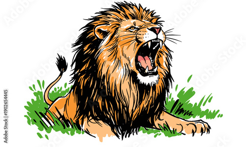 Roaring Lion illustration in cartoon style, fierce animal mascot design for logo, t-shirt print, sticker, or emblem. Hand drawn predator.