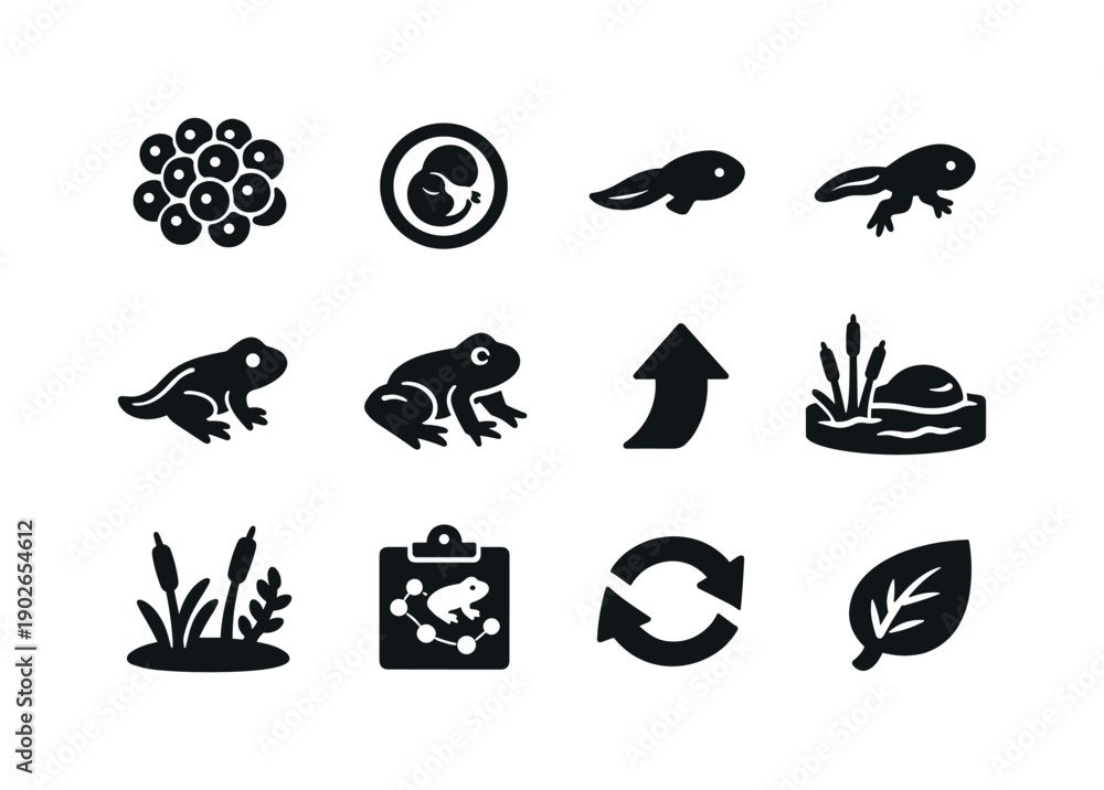 Obraz premium Frog Growth Stages. Solid icon set of Frog Growth Stages: egg cluster, embryo egg, tadpole, legged tadpole, juvenile frog, adult frog, growth