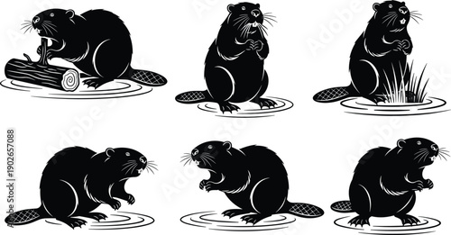 Beaver silhouette set showing different poses near water and log, black vector wildlife illustration for nature design, woodland animal graphics collection