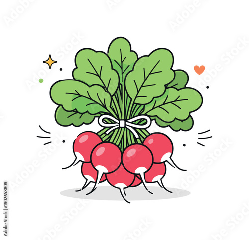 Fresh Radish Bunch. Radish bunch. A fresh bunch of radishes tied together with leafy tops, centered in a clean editorial composition. The scene feels crisp and