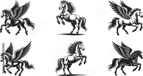 hand drawn pegasus and rearing horse illustrations set in vintage engraving style