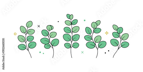 Eucalyptus Elegance. Eucalyptus branches. A calm arrangement of eucalyptus stems with rounded leaves gently curving in different directions, spaced neatly on a