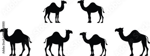Set of camel icon minimal vector art illustration on a white background.

