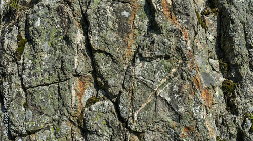 High-resolution natural rock texture background (4K) Alternative: Detailed rough stone surface texture in 4K resolution.