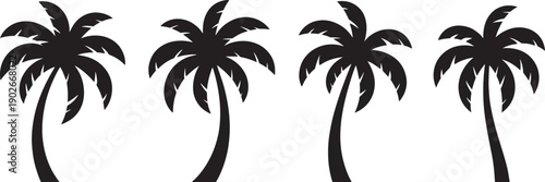 Four black palm tree silhouettes white