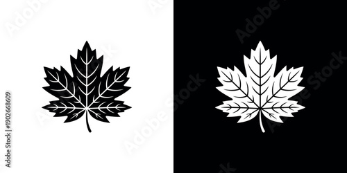 Black and white maple leaf on contrasting backgrounds