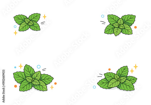 Mint leaves close up flat lay. A top-down close-up arrangement of mint leaves placed like design elements, with generous white space around