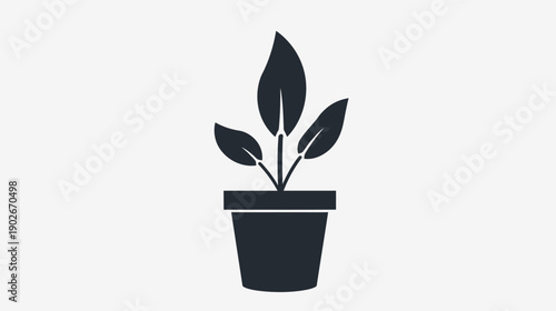 Minimalist plant illustration in a pot on a white background copy space