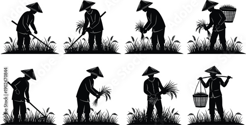Black and white vector illustration of Asian farmers wearing conical hats performing rice cultivation tasks, harvesting crops, and carrying baskets