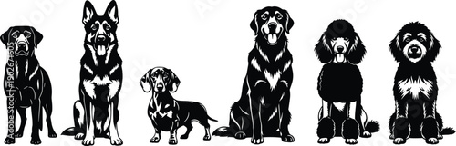 Black and white vector illustration of six different dog breeds sitting in a row, detailed line art for pet lovers
