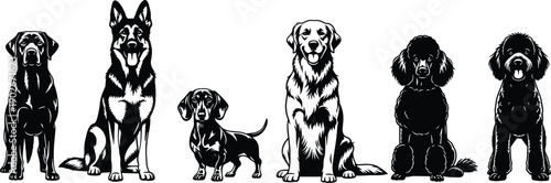 Black and white vector illustration of six dog breeds sitting in a row, detailed line art design for pet lovers