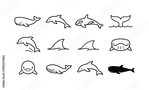 Sea Life Icons. Sea Life Cetaceans. Line icon set of Sea Life Cetaceans: whale outline, dolphin outline, orca outline, whale tail icon, dolphin jump icon,