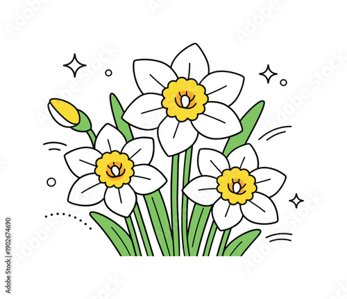 Springtime Daffodil Elegance. Daffodil flowers close up for seasonal visuals. A focused floral scene highlights spring freshness and natural beauty in a