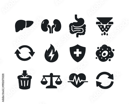 Detox. Solid icon set of body cleanse process: liver icon, kidney icon, digestive system, toxin filter, circulation arrows, metabolism flame,