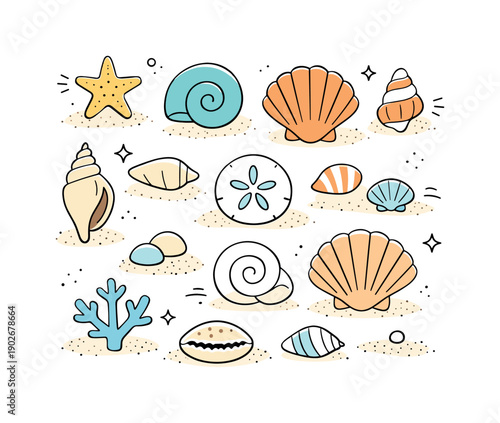 Seashells Flat Lay. Seashells collection. Editorial flat lay of different seashells arranged neatly on a clean surface. Calm coastal mood, sense of order and
